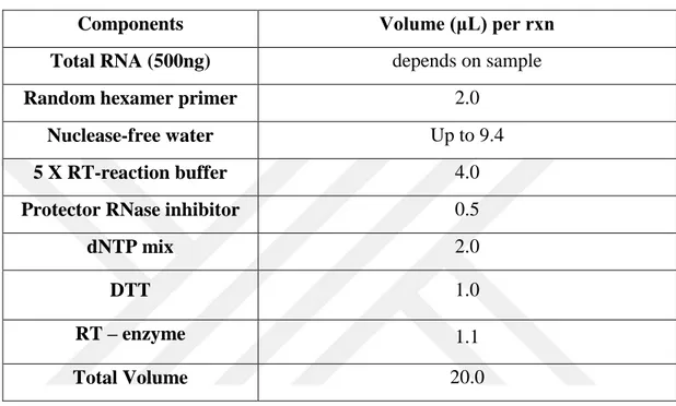 Table 5. cDNA-synthesis mix for target gene quantification   