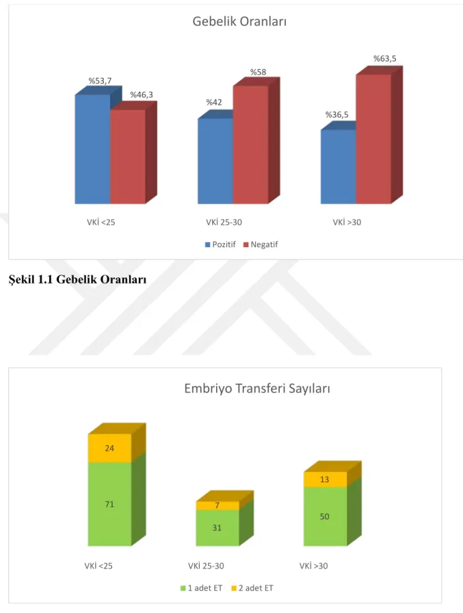 Şekil 1.1 Gebelik Oranları 