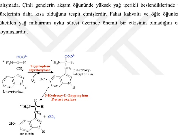 Şekil 2: Triptofandan seratonin sentezi ve metabolizması (Sarrafi-Zadeh vd., 2012) 
