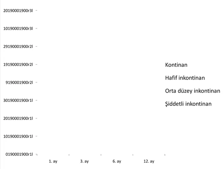 Grafik 7. Postoperatif aylara göre ped testi sınıflaması 