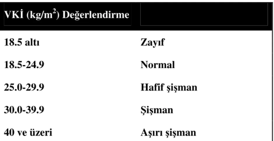 Tablo 4:DSÖ VK  de erlendirme kriterleri (46): 