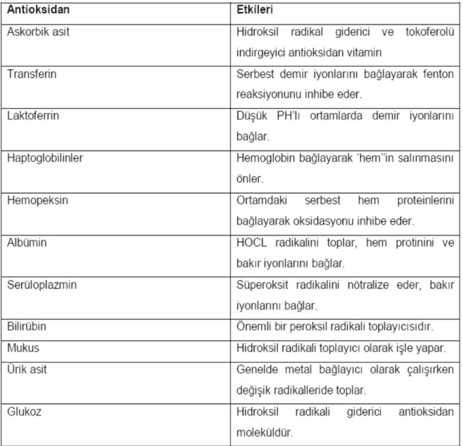 Tablo 10: Bazı ekstraselüler antioksidanlar 