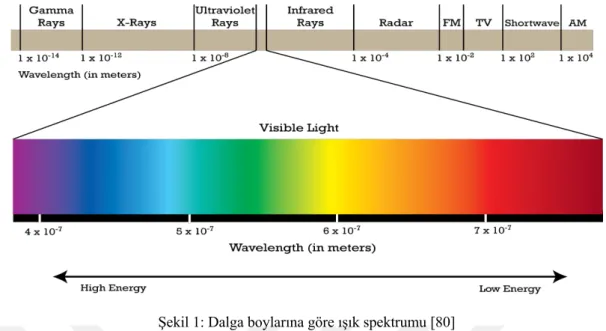 Şekil 1: Dalga boylarına göre ışık spektrumu [80] 