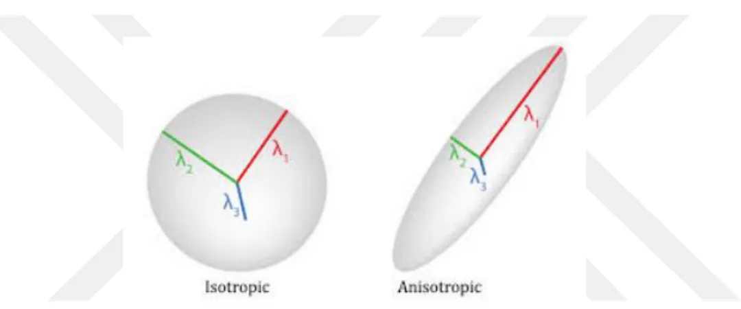 Şekil 9: İzotropik ve anizotropik difüzyonda eigen değerleri gösterilmektedir. 
