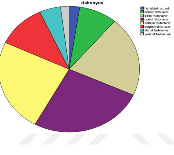 Şekil 1. Çalışmaya dahil edilen bireylerin risk faktörü sayısına göre dağılım oranı 