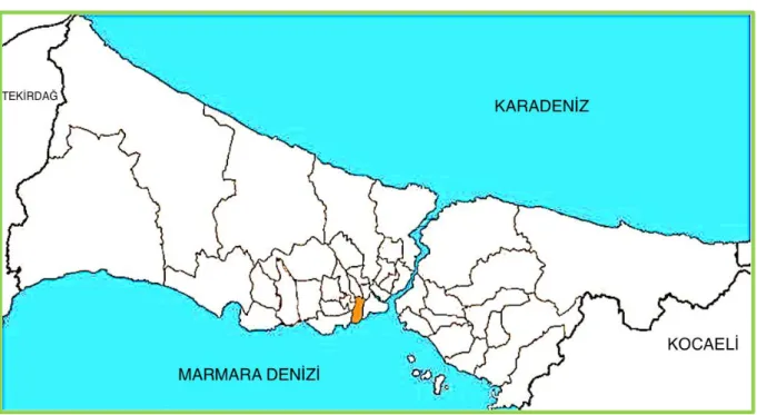 Şekil 1. Zeytinburnu’nun İstanbul’daki konumu 