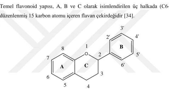 Şekil 2.14 : Flavonoidlerin C6-C3-C6 iskelet yapısı [39]. 
