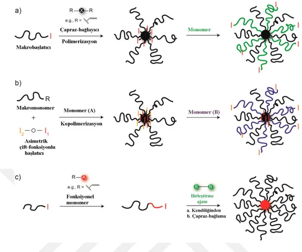 Şekil 2.14 : Kol-öncelikli yaklaşım vasıtasıyla yıldız polimer sentezi için üç ortak  stratejinin şematik gösterimi