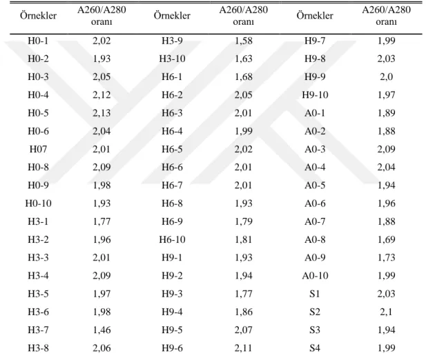 Tablo 3.2: Paratiroit Hiperplazi, adenom ve sağlıklı dokulara ait hücrelerin total RNA saflıkları  (H:hiperplazi, A:adenom, S:sağlıklı)