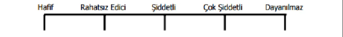 Şekil 2.6.4.1.2 : Sözel kategori ölçeği 