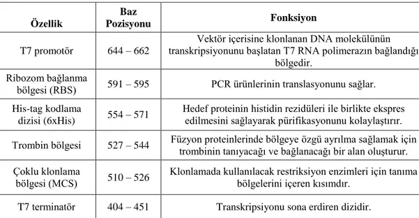 Tablo 7: pET-14b vektör sisteminin özellikleri. 