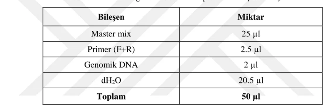 Tablo 8: C. boidinii genomik DNA kalıplı PCR karışımı bileşenleri. 