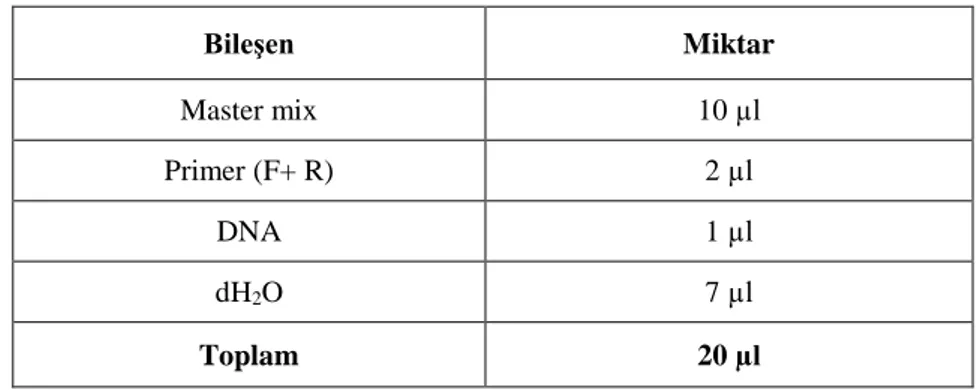Tablo 12: pTZR57R/T+FDH plazmidlerini alan hücrelerin tespiti için yapılan koloni PCR karışımı  bileşenleri