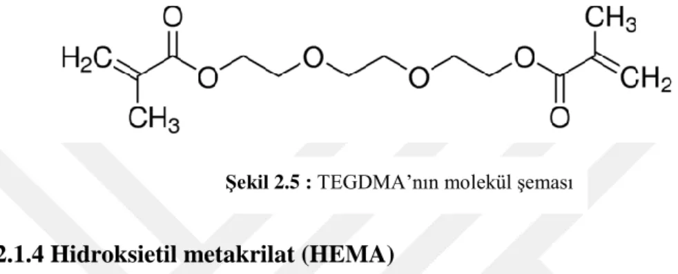 Şekil 2.5 : TEGDMA’nın molekül şeması 