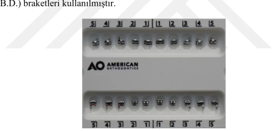 Şekil 3.14 : Amerikan orthodontic mini master series Roth (American Orthodontics  Product, Washington, A.B.D.)