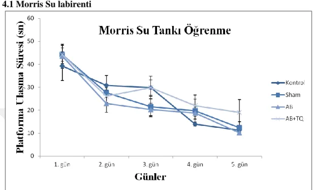 Şekil 7: Amiloid Beta infüzyonu ile yapılan Alzheimer modelinde Morris su labirenti öğrenme deneyi 