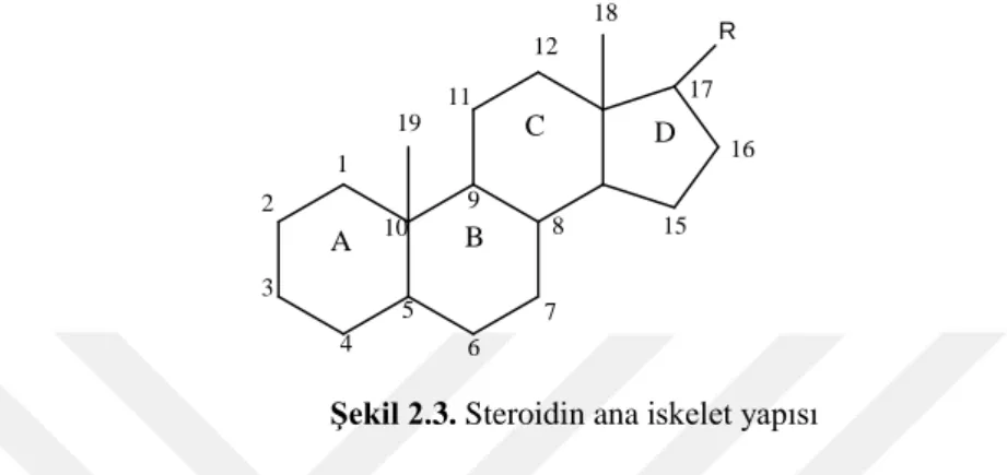Şekil 2.3. Steroidin ana iskelet yapısı
