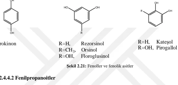 Şekil 2.21: Fenoller ve fenolik asitler  2.4.4.2 Fenilpropanoitler  