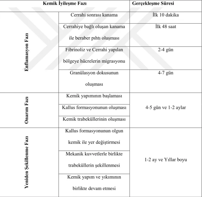 Tablo 4.Kemikte yapılan cerrahi işlem sonrasında gerçekleşen iyileşme periyodu 