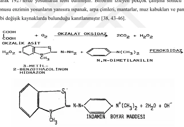 Şekil 1. Oksalat oksidaz enziminin tepkime şeması 