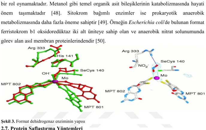 Şekil 3. Format dehidrogenaz enziminin yapısı 