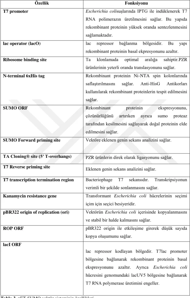 Tablo 3. pET-SUMO vektör sisteminin özellikleri