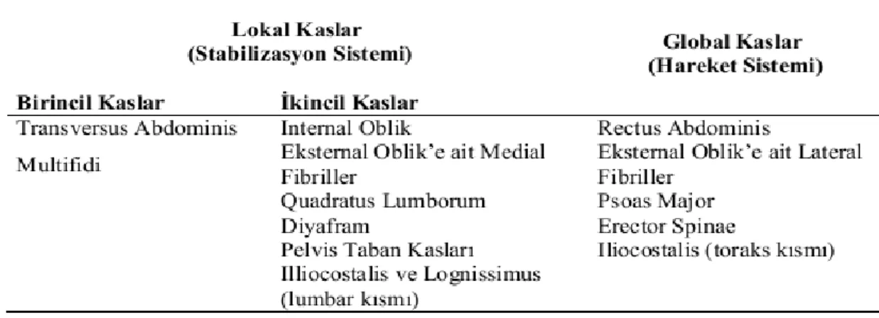 Şekil 2.1. Core Kasların Gruplandırılması 