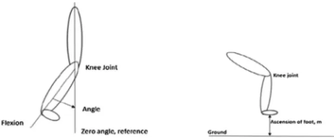 Fig. 1. A visual for ascension made by foot during walking.