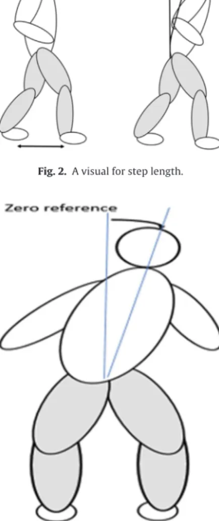 Fig. 2. A visual for step length.