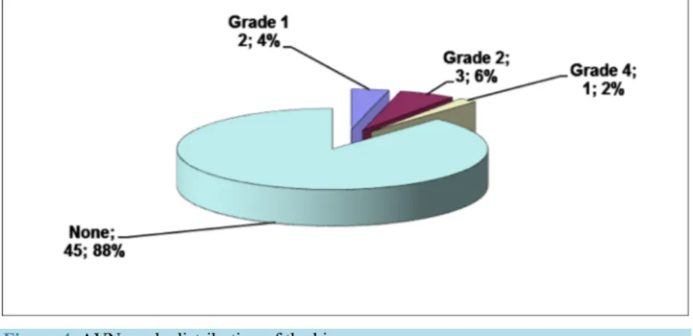 Figure 4. AVN grade distribution of the hips. 