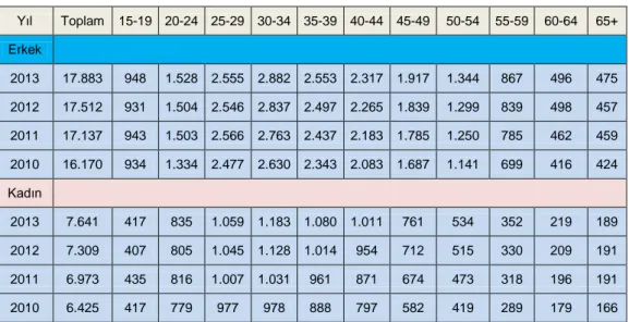 Tablo  17„e  genel  baktığımızda  istihdamın  kadın  ve  erkeklerde  20-44  yaĢ  aralığında  yoğunlaĢtığı  görülmektedir