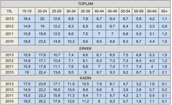 Tablo  26‟de  verilen  2010-2013  dönemi  arası  iĢsizlik  oranlarını  yaĢ  grubuna  göre  inceleyecek  olursak  20-24  yaĢ  grubu  arasında  iĢsizliğin  daha  fazla  olduğu  görülmektedir