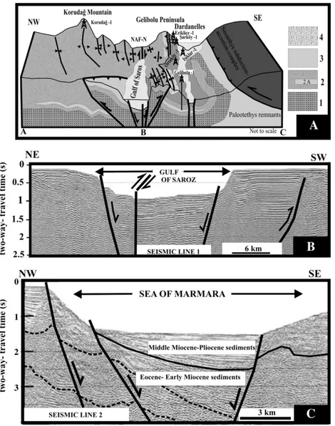 Fig. 4. A, The block diagram of the study area along A, B, C line (See Fig. 3 for location); 1) Late Cretaceus–Early Eocene Package, 2) Middle Eocene–Early Oligocene Package, 2A) Allochthonous blocks facies of the Gaziköy Formation,, 3) Middle Miocene–Earl
