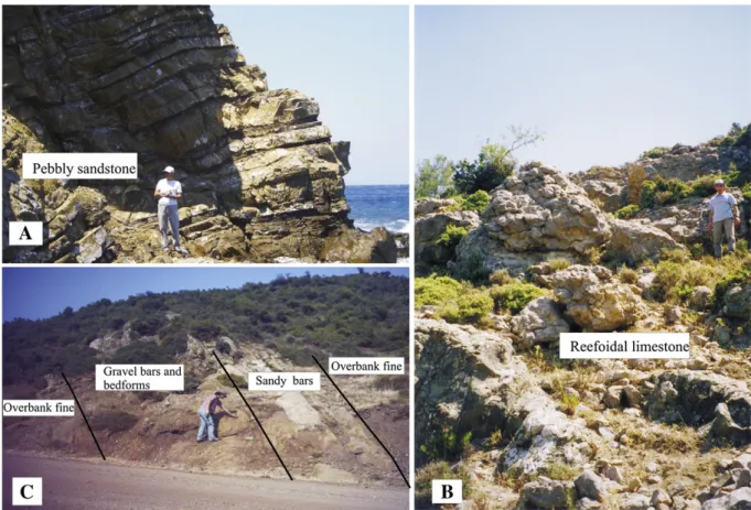 Fig. 5. A, a photograph from Karaağaç Formation (north of Tayfur village), B, a photograph from Fıcıtepe Formation (north of the Tayfur village), C, a photo form Soğucak Formation (Tayfur village).