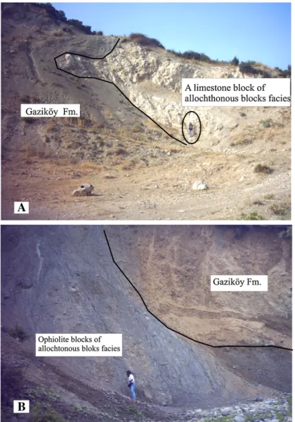 Fig. 6. A, a photograph from allochthonous limestone block in the Gaziköy Formation (N of Şarköy), B, a photograph from allochthonous ophiolite blocks in the Gaziköy Formation (NE of Şarköy).