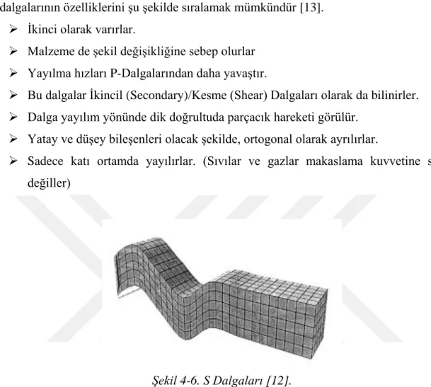 Şekil 4-6. S Dalgaları [12]. 