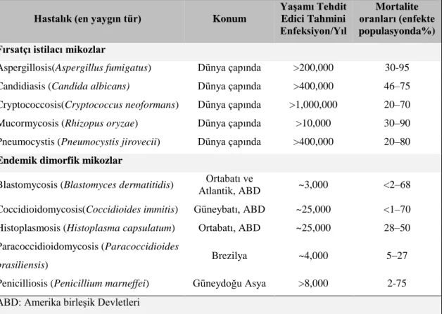 Tablo 2.2. En Önemli 10 Enfekte Fungal Enfeksiyonun İstatistikleri 