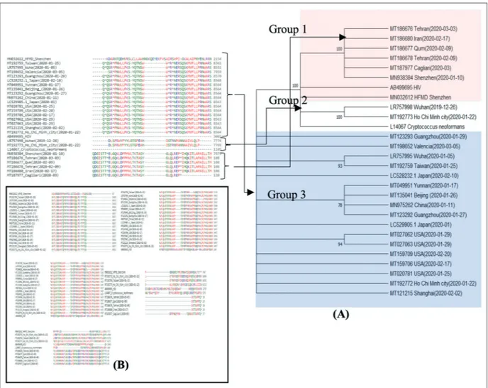 Figure 1. Structure of COVID-19, HIV, HFMD, and Cryptococcus neoformans. A, Maximum likelihood tree (condensed  tree, cutoff value is 70%) of sequences