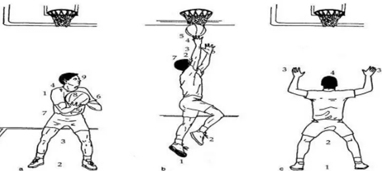 Şekil 2.13. Basketbolda Çengel Atış 
