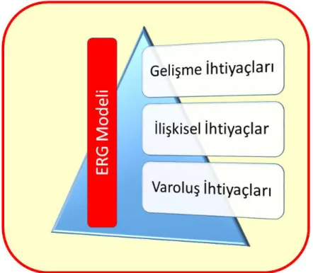 Şekil 1: ERG Modeli 