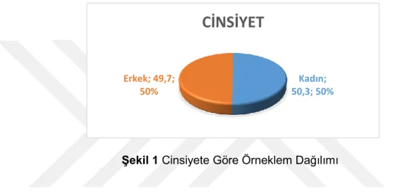 Şekil 1 Cinsiyete Göre Örneklem Dağılımı 