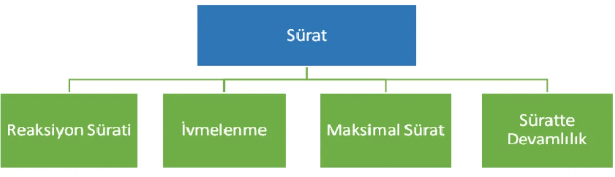 ġekil 2.2. Sürat Türleri 