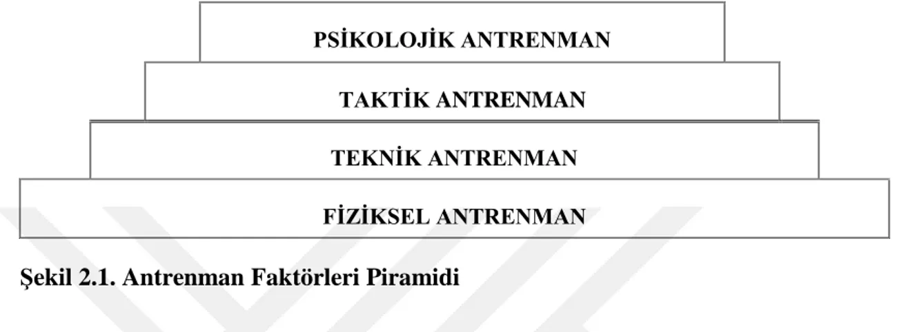 Şekil 2.1. Antrenman Faktörleri Piramidi 