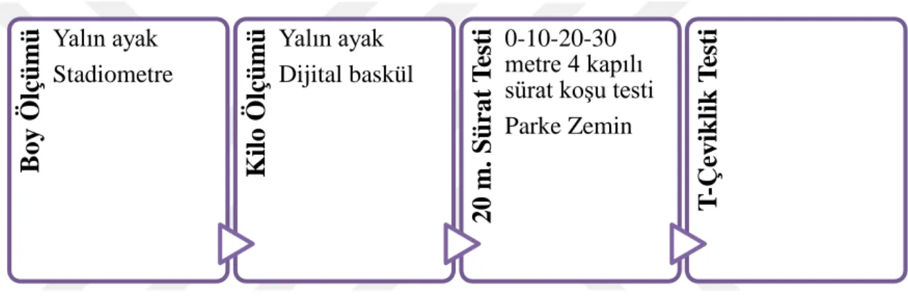 Şekil 3.1.  Uygulanan Test Protokol Özeti  -  Boy ölçümü 