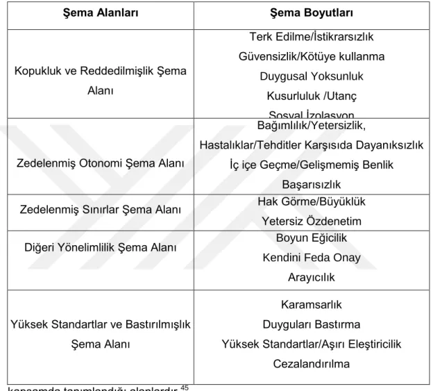 ġekil 2. Erken Dönem Uyumsuz ġema Boyutları ve Alanları 
