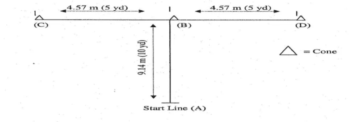 Fig. 1. T test used to measure the agility 	
