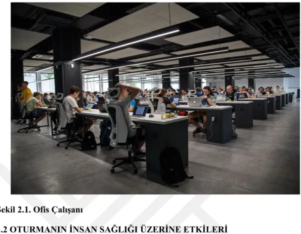 Şekil 2.1. Ofis Çalışanı 
