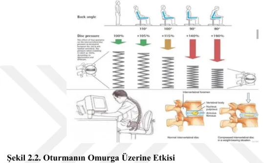 Şekil 2.2. Oturmanın Omurga Üzerine Etkisi 