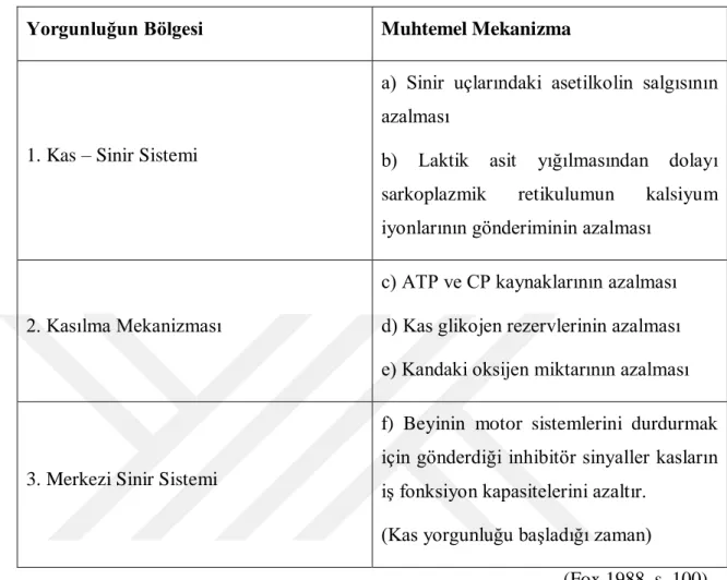 Tablo 2. 1. Yorgunluğun Muhtemel Mekanizması 