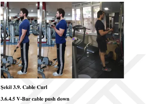 Şekil 3.9. Cable Curl 